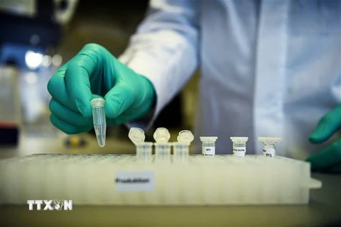 Nghiên cứu vắcxin phòng dịch COVID-19 tại phòng thí nghiệm ở Tuebingen, Đức. (Ảnh: Reuters/TTXVN)