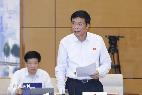 Tổng Thư ký, Chủ nhiệm Văn phòng Quốc hội Nguyễn Hạnh Phúc phát biểu. (Ảnh: Doãn Tấn/TTXVN)