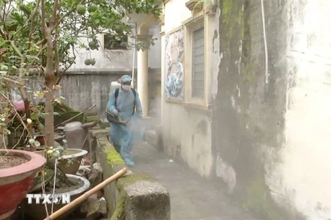Phun thuốc diệt muỗi phòng chống dịch bệnh sốt xuất huyết tại hộ dân ở thành phố Bắc Ninh, tỉnh Bắc Ninh. (Ảnh: Thái Hùng/TTXVN)