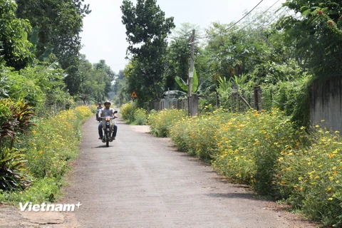 Tuyến đường xanh, sạch, đẹp tại xã Xuân Trường, huyện Xuân Lộc. (Ảnh: Thìn Nguyễn/Vietnam+)