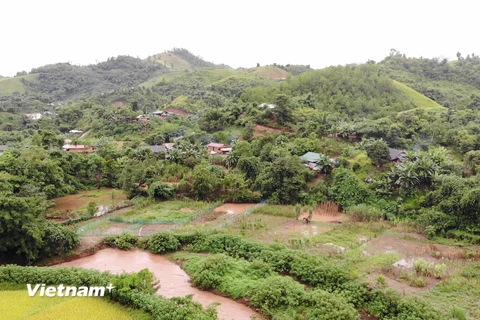 Toàn cảnh khu vực bản tái định cư Nậm Là 2, Mường Nhé. (Ảnh: Hạnh Quỳnh/Vietnam+)