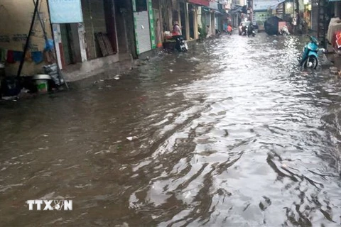 Mưa lớn gây ngập lụt tại một tuyến đường tại xã Ngư Lộc, huyện Hậu Lộc, tỉnh Thanh Hóa. (Ảnh: Nguyễn Nam/TTXVN)