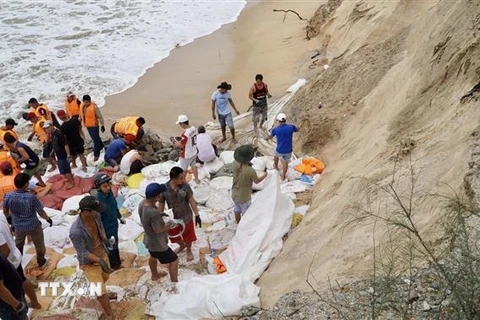 Khắc phục bờ biển bị sạt lở tại xã Phú Thuận, huyện Phú Vang, tỉnh Thừa Thiên-Huế. (Ảnh: Mai Trang/TTXVN)