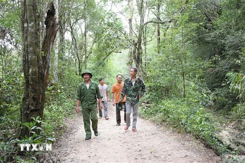 Anh Dương Xuân Kiếm (áo xanh, đi đầu) tại thôn 4, xã Đắk Jơ Ta (Mang Yang, Gia La) thuộc Ban Quản lý rừng phòng hộ Hà Ra tuần tra diện tích rừng nhận giao khoán. (Ảnh: Hồng Điệp/TTXVN)