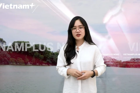 [Video] Đăng tin giả, 'Huấn Hoa hồng' sẽ bị xử phạt như thế nào?