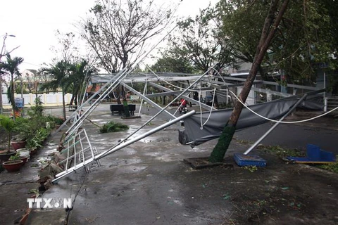 Gió bão làm gãy, sập đổ hàng loạt cây xanh, hàng quán trên các tuyến phố trong địa bàn thành phố Tam Kỳ. (Ảnh: Trịnh Bang Nhiệm/TTXVN)