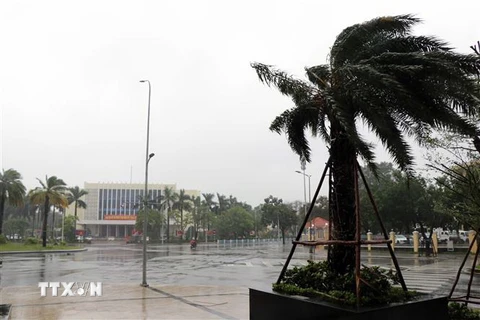 Bão số 9 gây mưa và gió lớn trên địa bàn tỉnh Thừa Thiên-Huế. (Ảnh: Đỗ Trưởng/TTXVN)