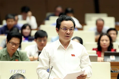 Đại biểu Quốc hội thành phố Hà Nội Hoàng Văn Cường phát biểu. (Ảnh: TTXVN)