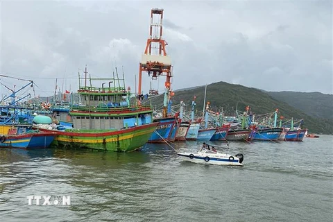 Tàu thuyền neo đậu tránh trú bão số 10 tại cảng cá Quy Nhơn (Bình Định). (Ảnh: Nguyên Linh/TTXVN)