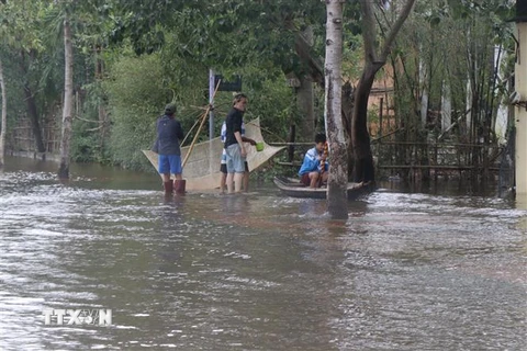 Nước lũ dâng cao, gây ngập sâu trên diện rộng tại huyện Quảng Điền. (Ảnh: Đỗ Trưởng/TTXVN)