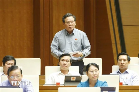 Đại biểu Quốc hội tỉnh Bình Định Đặng Hoàng Tân phát biểu ý kiến. (Ảnh: Doãn Tấn/TTXVN)