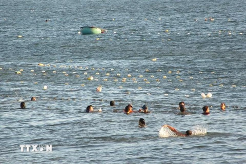 'Trận địa lưới' bao vây du khách tắm biển Bình Sơn-Ninh Chữ. (Ảnh: Nguyễn Thành – TTXVN)