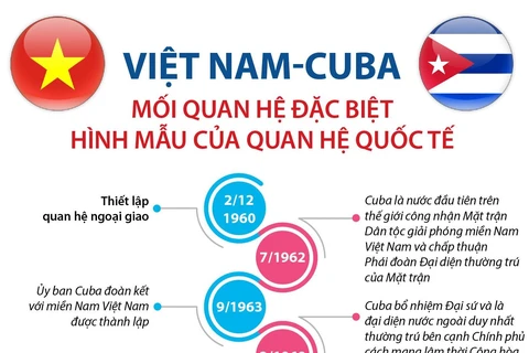 Việt Nam-Cuba - mối quan hệ đặc biệt, hình mẫu của quan hệ quốc tế