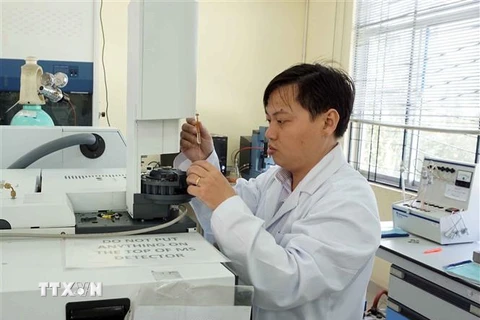 Tiến sỹ Đoàn Lê Hoàng Tân làm việc trong phòng thí nghiệm. (Ảnh: Thu Hoài/TTXVN)