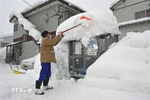 Tuyết rơi dày đặc tại Yokote ở tỉnh Akita, Nhật Bản, ngày 8/1/2021. (Ảnh: Kyodo/TTXVN)