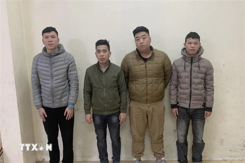 Các đối tượng bị tạm giữ tại cơ quan cảnh sát điều tra công an thành phố Ninh Bình. (Ảnh: Đức Phương/TTXVN)