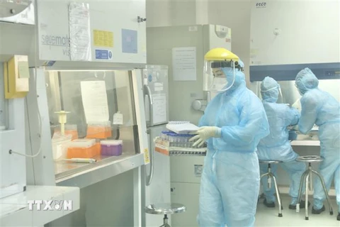 Nhân viên CDC Hà Nội làm xét nghiệm COVID-19. (Ảnh: Minh Quyết/TTXVN)
