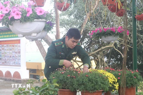 Chiến sỹ Đồn Biên phòng cửa khẩu Trà Lĩnh chăm sóc những chậu hoa chuẩn bị đón Tết Nguyên đán. (Ảnh: Chu Hiệu/TTXVN)