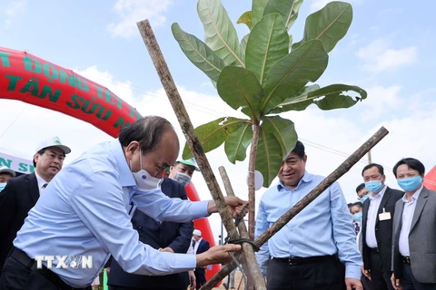 Thủ tướng Nguyễn Xuân Phúc tham gia 'Tết trồng cây' Xuân Tân Sửu năm 2021. (Ảnh: Thống Nhất/TTXVN)