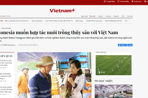 Bài viết trên báo VietnamPlus. 