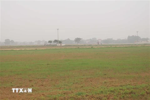 Đồng ruộng tại xã Phú Xuân, huyện Bình Xuyên, tỉnh Vĩnh Phúc rộng hàng trăm ha, phần lớn bị được bỏ hoang. (Ảnh: Nguyễn Trọng Lịch/TTXVN)