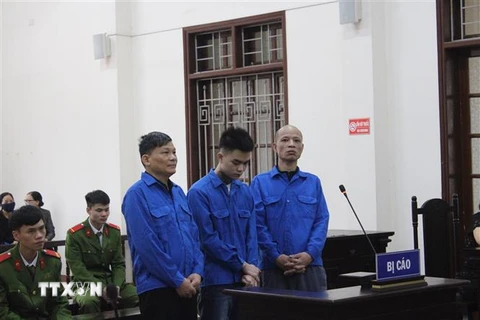 Bị cáo Phan Doãn Hùng (ngoài cùng bên trái) - chủ mưu vụ án tại phiên tòa phúc thẩm. (Ảnh: Vũ Hà/TTXVN)