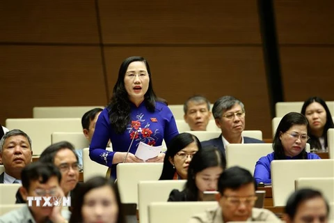 Đại biểu Quốc hội tỉnh Bắc Kạn Nguyễn Thị Thuỷ phát biểu. (Ảnh: Dương Giang/TTXVN)