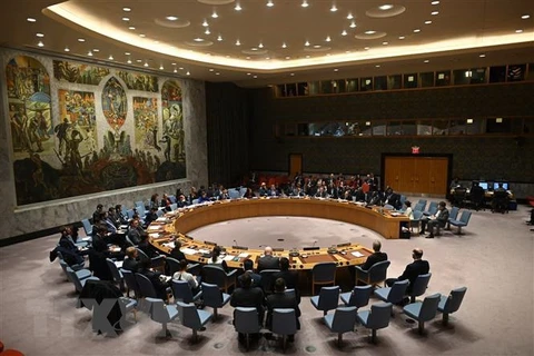 Một cuộc họp của Hội đồng Bảo an Liên hợp quốc ở New York, Mỹ. (Ảnh: AFP/TTXVN)