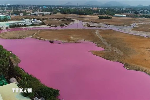 Toàn cảnh khu vực đầm ô nhiễm tại Cống số 6 xã Tân Hải, thị xã Phú Mỹ, tỉnh Bà Rịa-Vũng Tàu. (Ảnh: TTXVN)