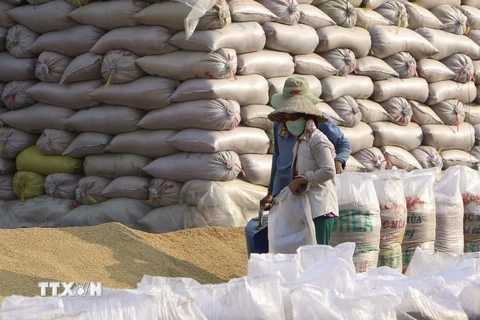 Xuất khẩu gạo của Việt Nam vẫn đạt được những kết quả tích cực. (Nguồn: TTXVN)