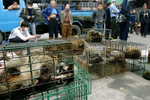Một chợ động vật hoang dã ở Trung Quốc. (Nguồn: Getty Images)