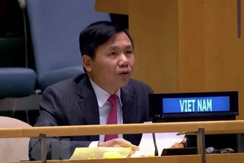 Đại sứ Đặng Đình Quý. (Nguồn: TTXVN)