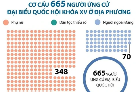 Cơ cấu 665 người ứng cử đại biểu Quốc hội khóa XV ở địa phương.