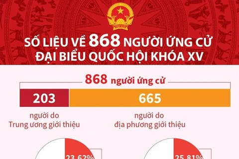 Số liệu về 868 người ứng cử đại biểu Quốc hội khóa XV.