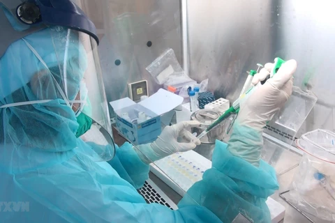 Lấy mẫu xét nghiệm virus SARS-CoV-2. (Nguồn: TTXVN)