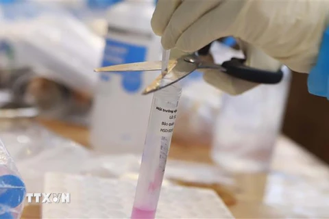 Nhân viên y tế thực hiện lấy mẫu xét nghiệm virus SARS-CoV-2 cho người dân ở Vĩnh Phúc. (Ảnh: Hoàng Hùng/TTXVN)