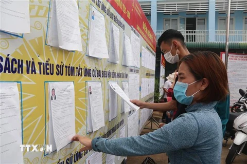 Giáo dân ở xã Gia Tân 1, huyện Thống Nhất, tỉnh Đồng Nai xem xét danh sách cử tri. (Ảnh: Công Phong/TTXVN)