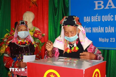 Cử tri ở Lô Lô Chải, xã Lũng cú, huyện Đồng Văn (Hà Giang) thực hiện quyền bỏ phiếu. (Ảnh: My Ly/TTXVN phát)