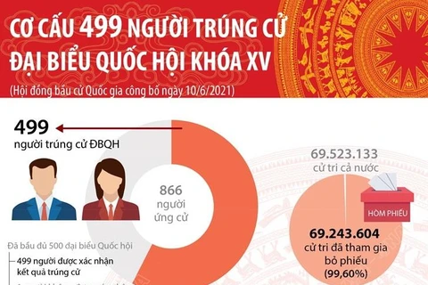 Cơ cấu 499 người trúng cử đại biểu Quốc hội khóa XV.