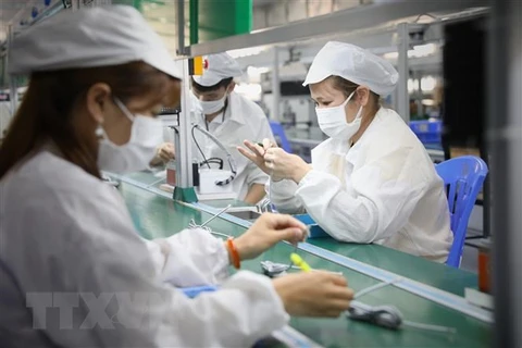 Công nhân tại khu công nghiệp ở Bắc Giang. (Nguồn: TTXVN)