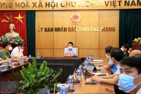 Chủ tịch UBND tỉnh Lê Ánh Dương phát biểu chỉ đạo hội nghị. (Nguồn: Bacgiang.gov.vn)