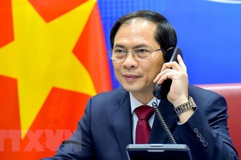 Bộ trưởng Ngoại giao Bùi Thanh Sơn. (Ảnh: TTXVN phát)