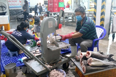 Người dân Bình Thuận chuẩn bị cá bóp tươi để hỗ trợ Thành phố Hồ Chí Minh và Bình Dương. (Ảnh: Nguyễn Thanh/TTXVN)