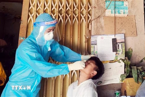 Cán bộ y tế lấy mẫu xét nghiệm người dân bản Chăm Puông, xã Lượng Minh, huyện Tương Dương, Nghệ An. (Ảnh: TTXVN)