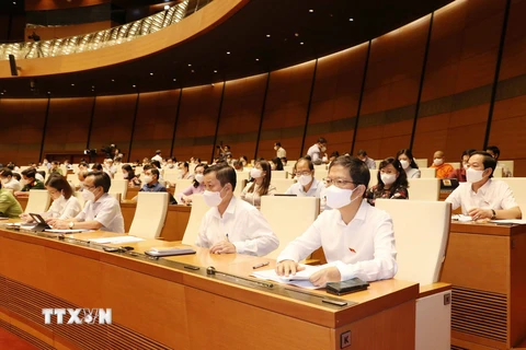 Các đại biểu dự phiên họp của Quốc hội. (Nguồn: TTXVN)