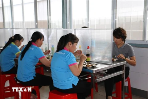 Một doanh nghiệp lập những vách ngăn tại các bếp ăn tập thể để công nhân giữ khoảng cách trong giờ ăn. (Ảnh: TTXVN)
