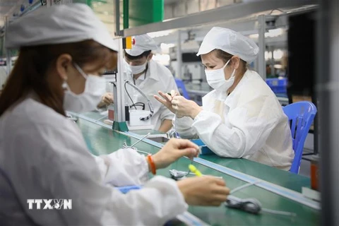 Công nhân tại Khu công nghiệp Vân Trung ở Bắc Giang. (Ảnh: Danh Lam/TTXVN)