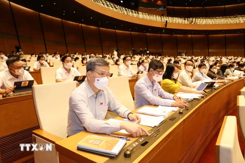 Đại biểu Quốc hội biểu quyết thông qua Nghị quyết về cơ cấu tổ chức của Chính phủ nhiệm kỳ 2021-2026. (Ảnh: Phương Hoa/TTXVN)