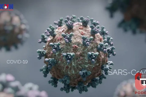 Biến thể Lambda của virus SARS-CoV-2 nguy hiểm như thế nào?