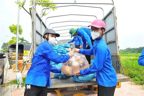 Thanh niên ở Hà Nội vận chuyển nhu yếu phẩm hỗ trợ công tác phòng chống dịch bệnh COVID-19. (Ảnh: Minh Đức/TTXVN)